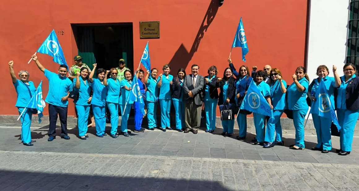 Tribunal Constitucional admite demanda de inconstitucionalidad presentada por el SINESSS contra el DL 1666