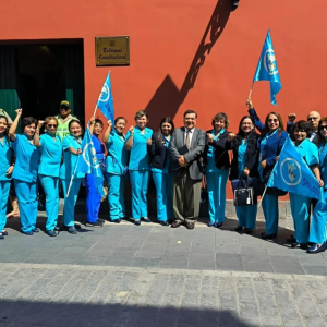 Tribunal Constitucional admite demanda de inconstitucionalidad presentada por el SINESSS contra el DL 1666