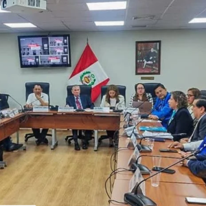 SINESSS defendió ante el Congreso la autonomía de EsSalud y su rechazo al DL 1666